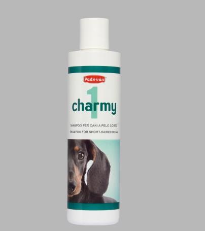 Shampoo for Dogs