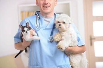 Pets Care