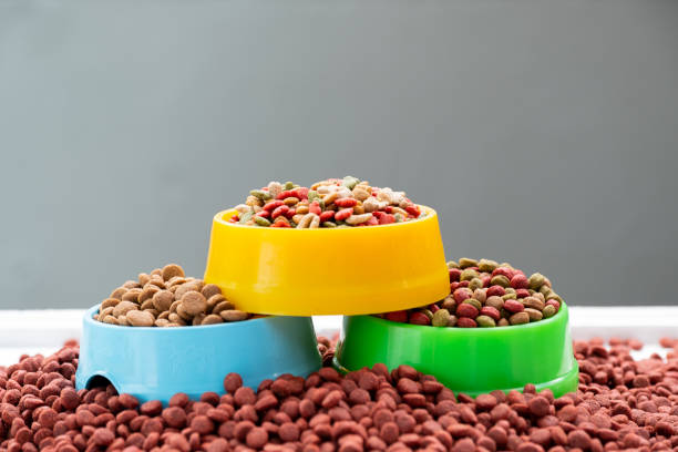 dry food