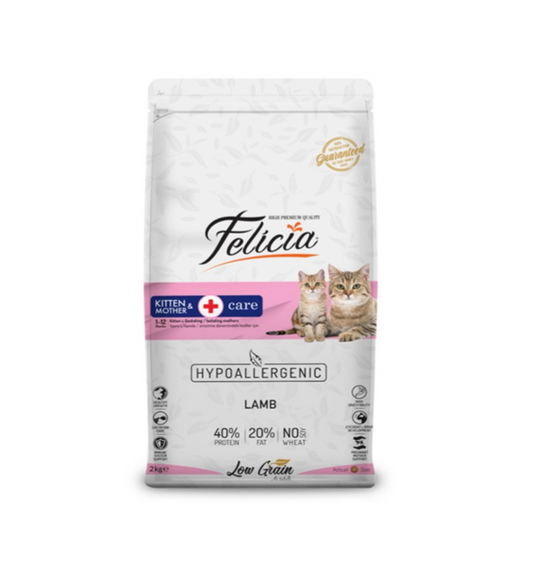 Felicia Kitten & Mother  Care