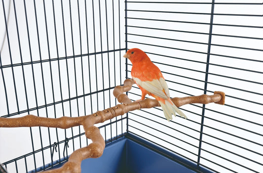 Ramo Perches