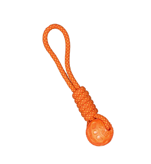 Dog Teether large size