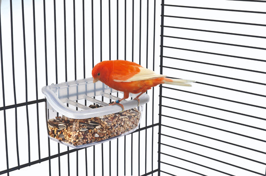 Gea Feeder