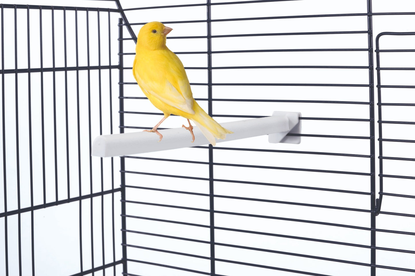 Clic Perches