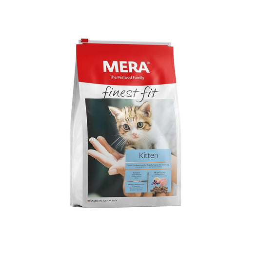 Mera kitten