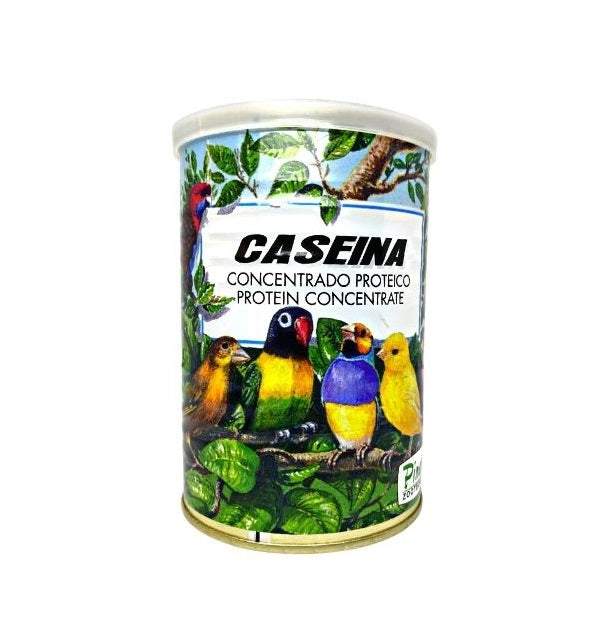 كازينا بروتين للطيور