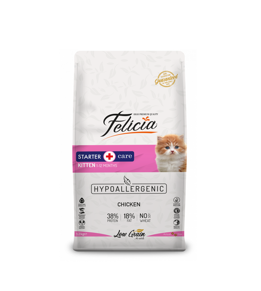 Felicia Starter Care Kitten Chicken