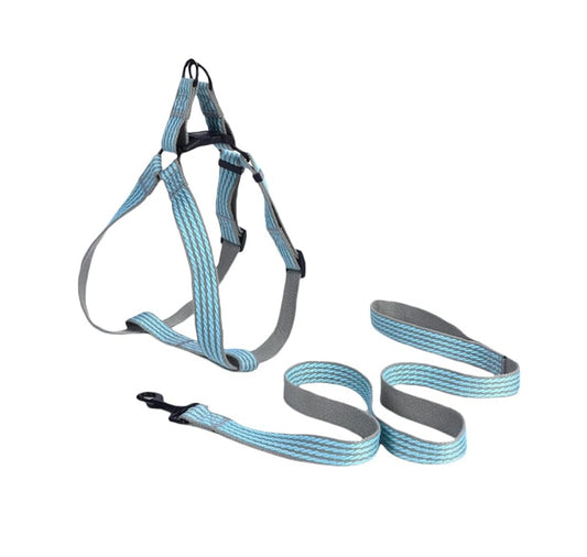 Leash for small and medium dogs and cats