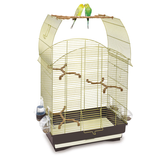 Agata Cage