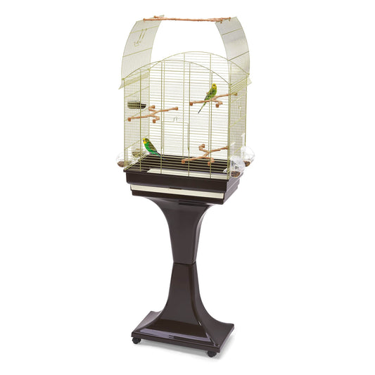 Agata Cage