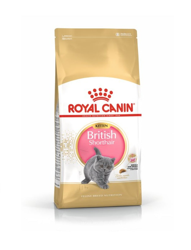 Royal Canin British Kitten