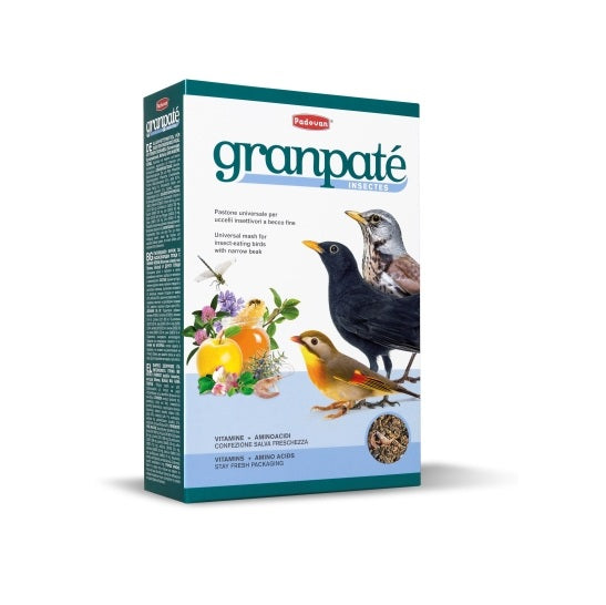 Granpatee Insectes