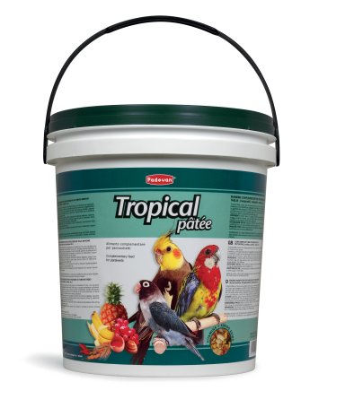 Copy of Tropical Pâtée