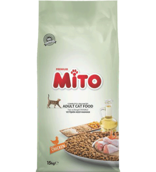Mito Adult Cat