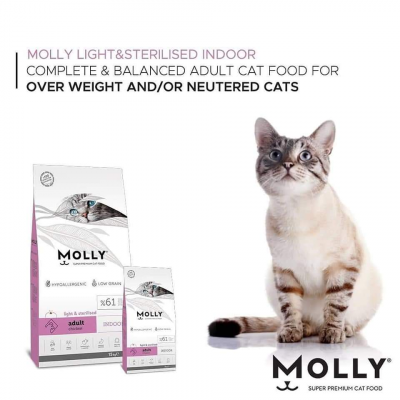 Molly Sterilised indoor Chicken
