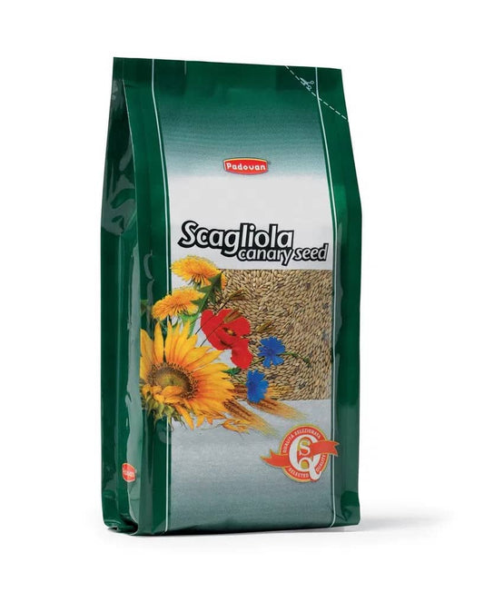 Canary Seed (Scagliola) 1kg