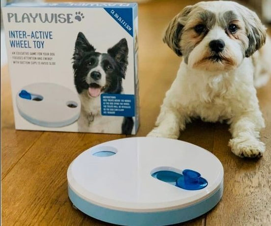 Playwise Inter Active Wheel Toy