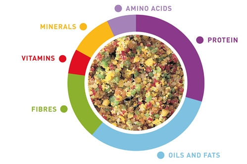 Natural Fruits by Kilogram