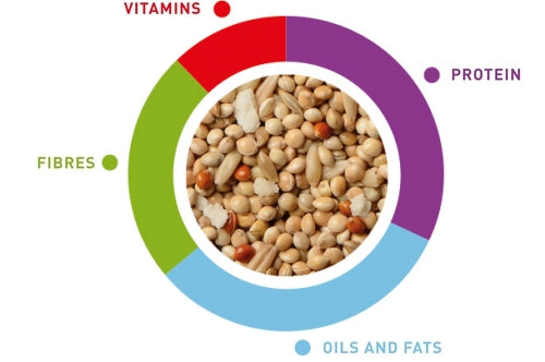 Sunmix Cocorite