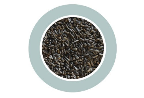 Niger Seeds