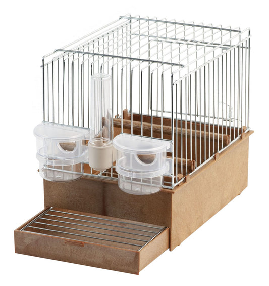Songbird display cage