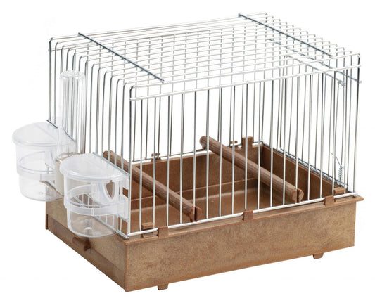 Songbird display cage