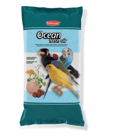 OCEAN رمل طيور