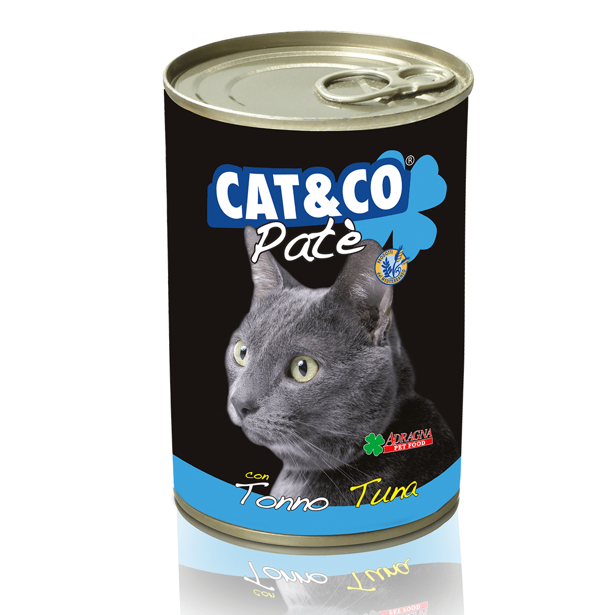 Cat And Co