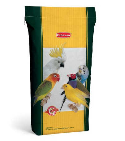 Canary Seed (Scagliola) 20kg