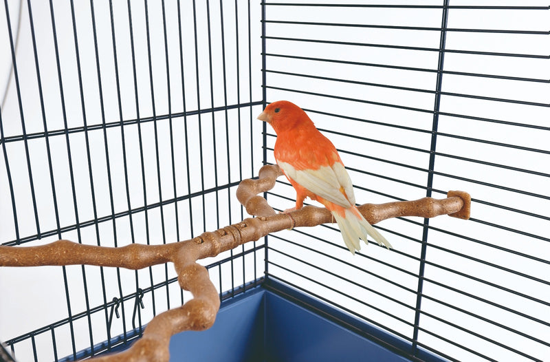 Cage Accessories