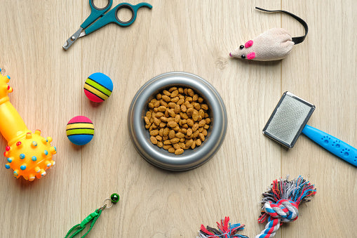 Cat Supplies