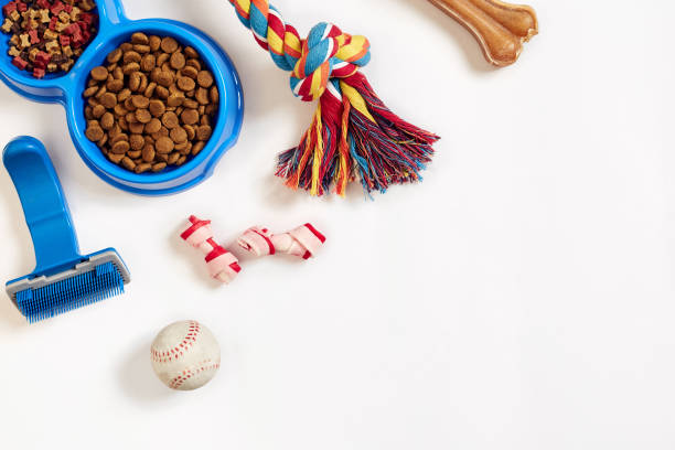 Dog Supplies