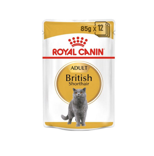 Royal Canin British Short hair