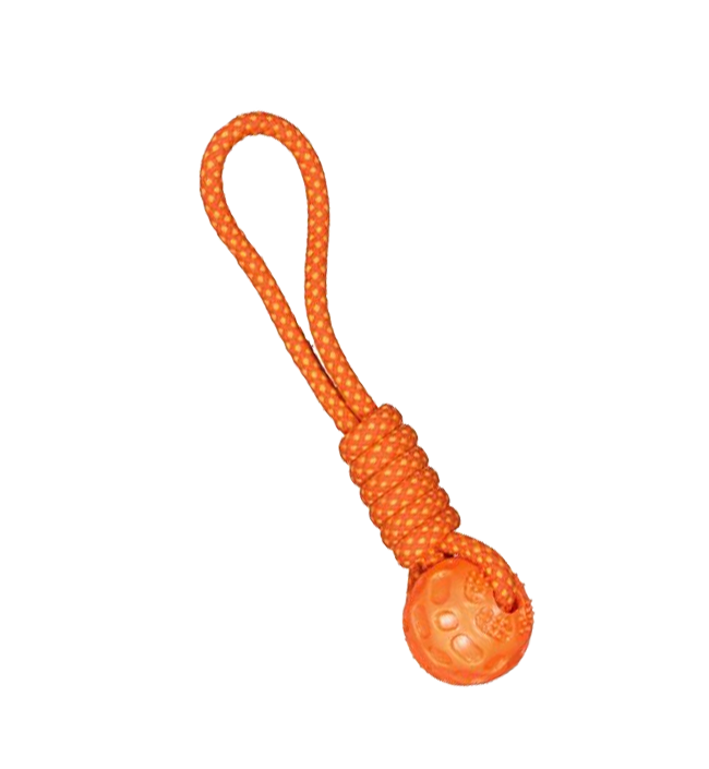 Dog Teether large size