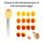 Egg Fertilization Tester Rechargeable