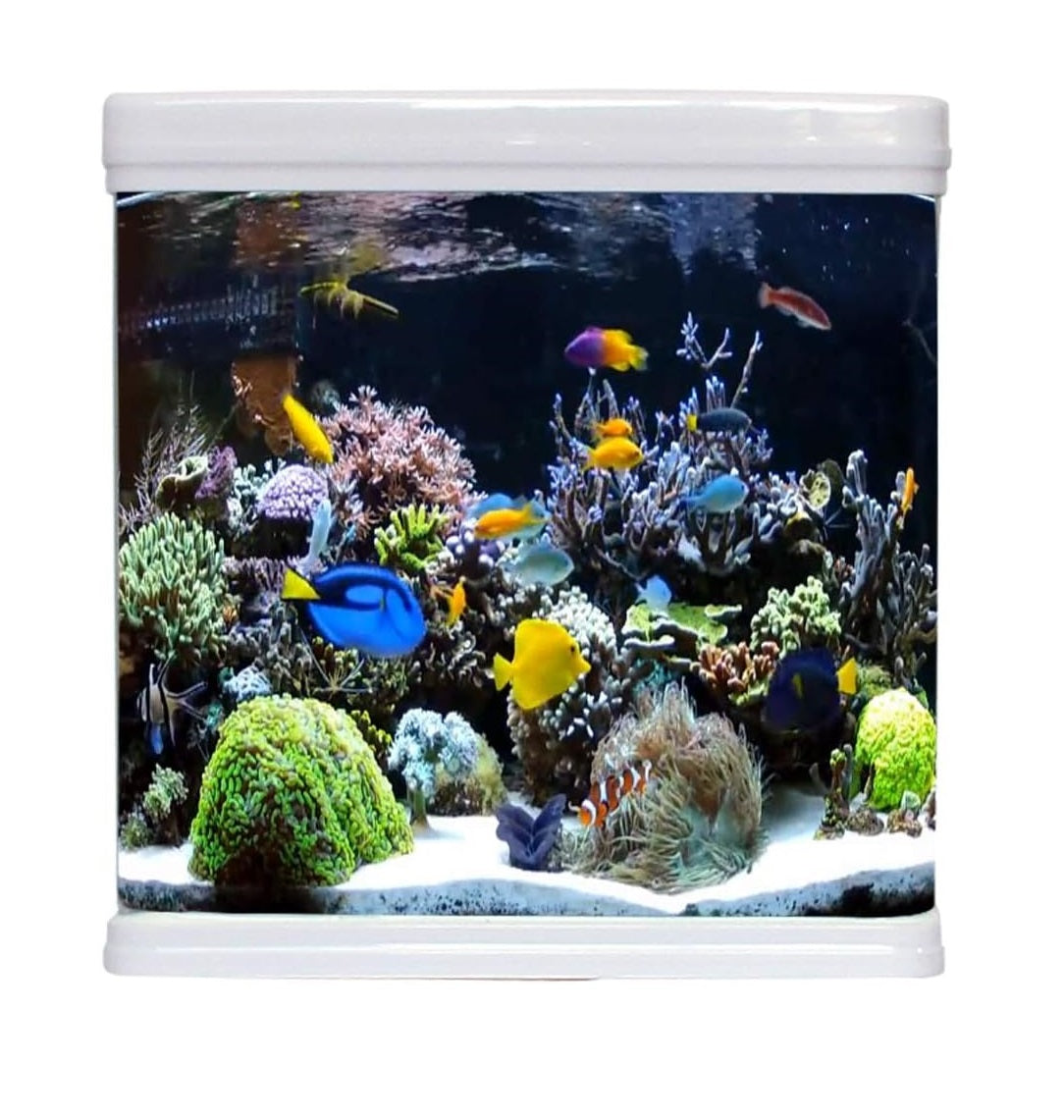 حوض أسماك حجم وسط