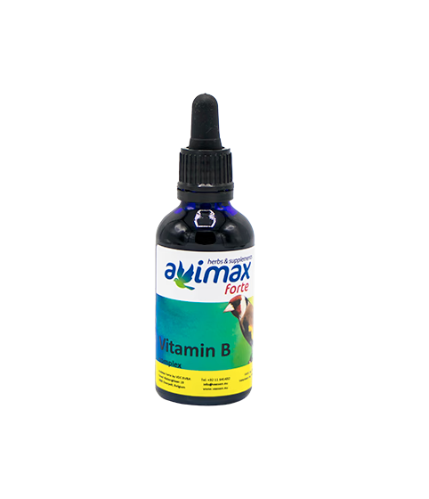 AviMax Forte Vitamin B 50 ml