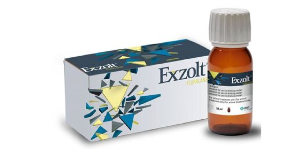 Exzolt