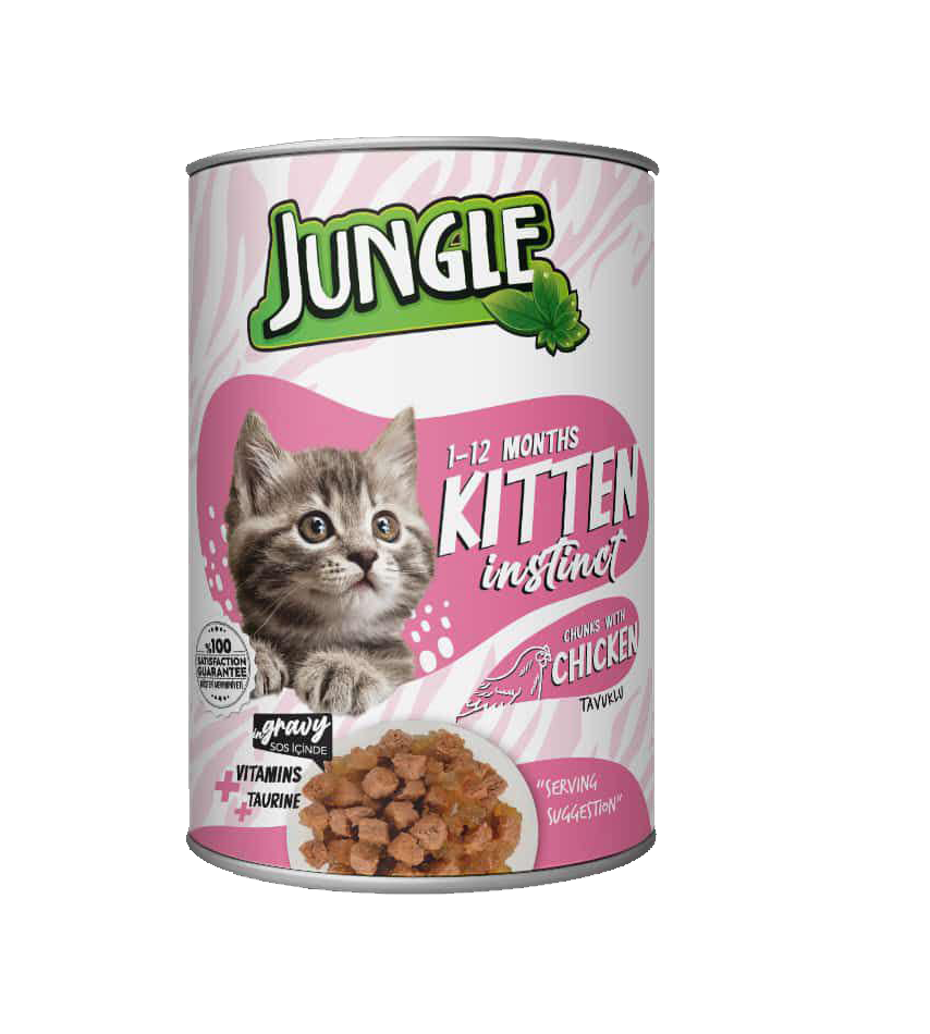 Beautiful view of Wet Food For Kittens To Support Joint Health And Wellness