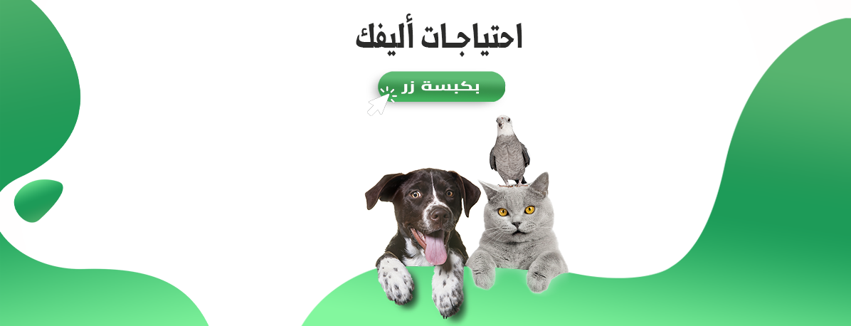 royal jordanian pets