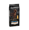 Pro Plan Everyday Nutrition Large Athletic Adult Dry Dog food with Chicken