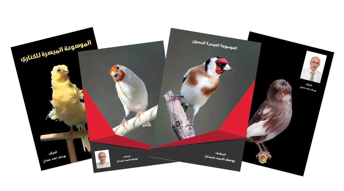 The Easy Encyclopedia of Goldfinch and Canary