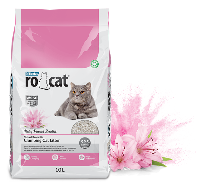 Rocat Cat Litter
