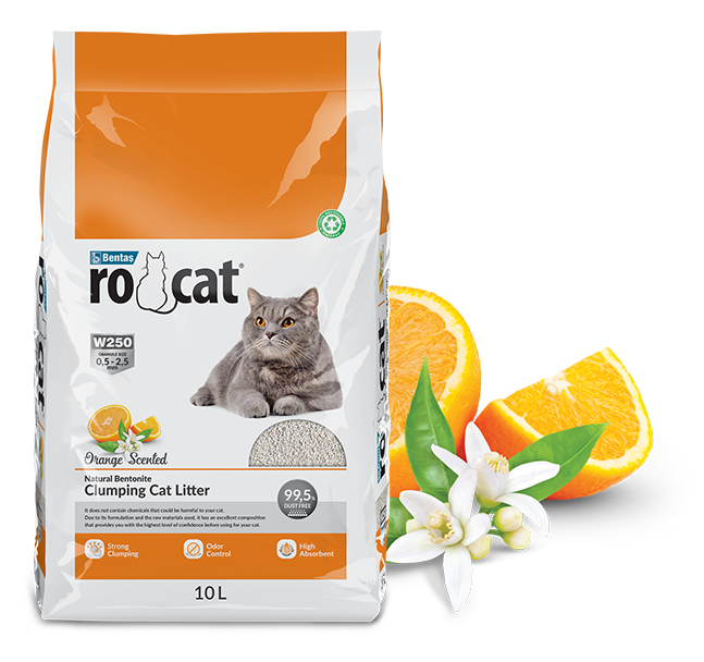 Rocat Cat Litter