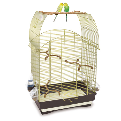 Agata Cage
