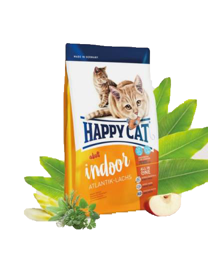 Happy Cat Indoor