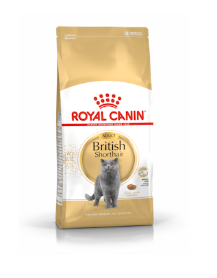 Royal Canin British Short hair