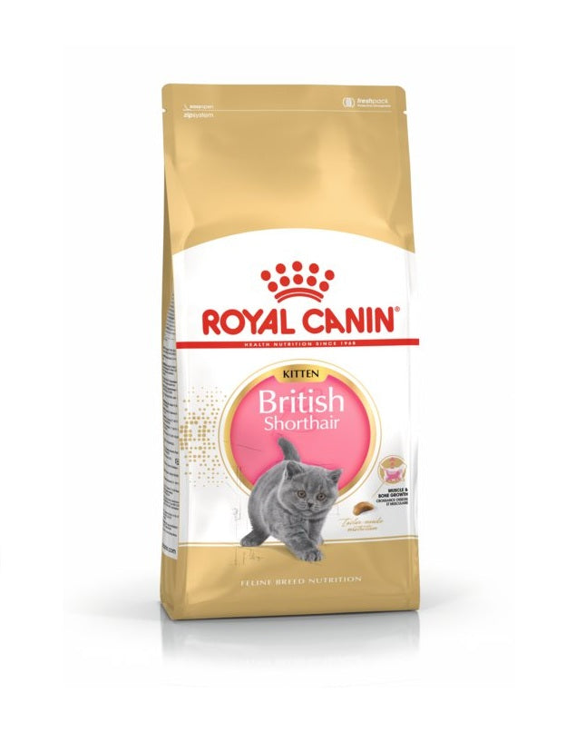 Royal Canin British  Kitten