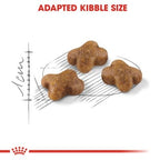 Royal Canin Kitten Second Age