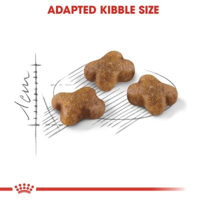 Royal Canin Kitten Second Age